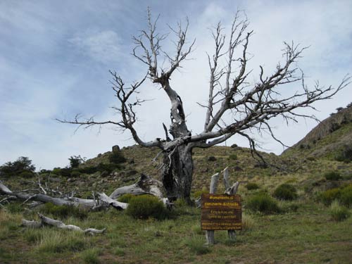El Chalten Park